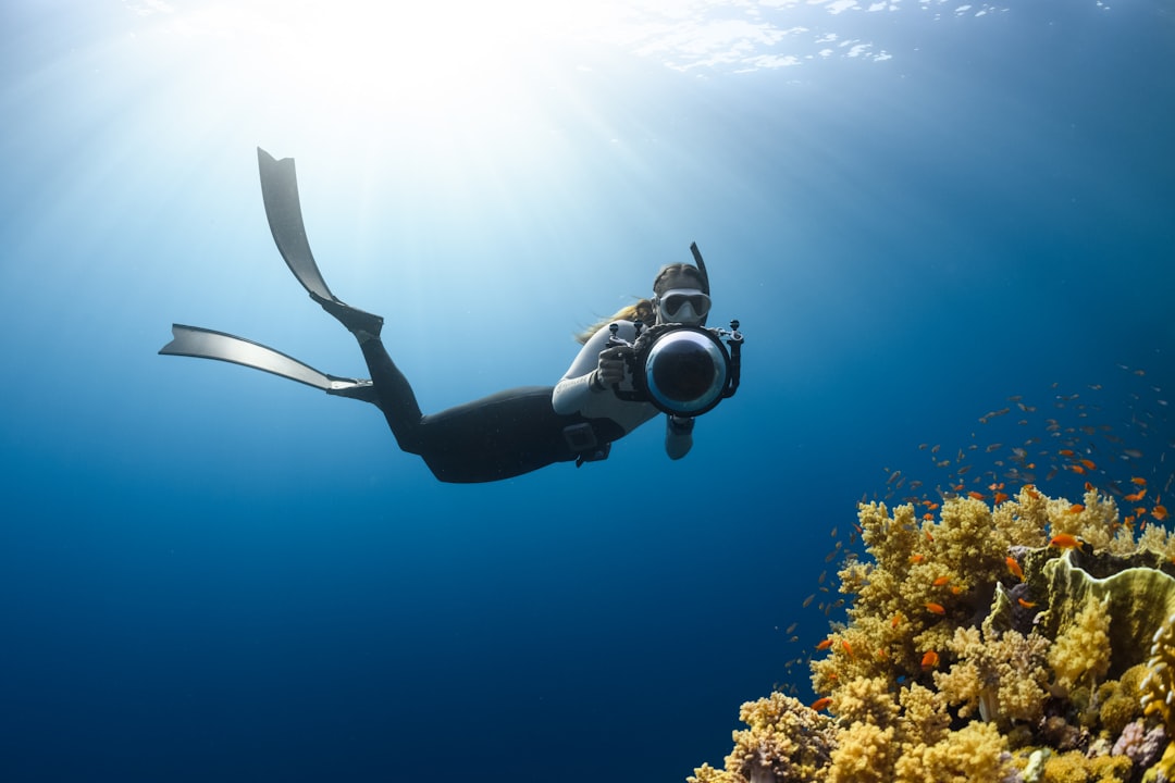 Unlocking the Magic of Destination Management Services